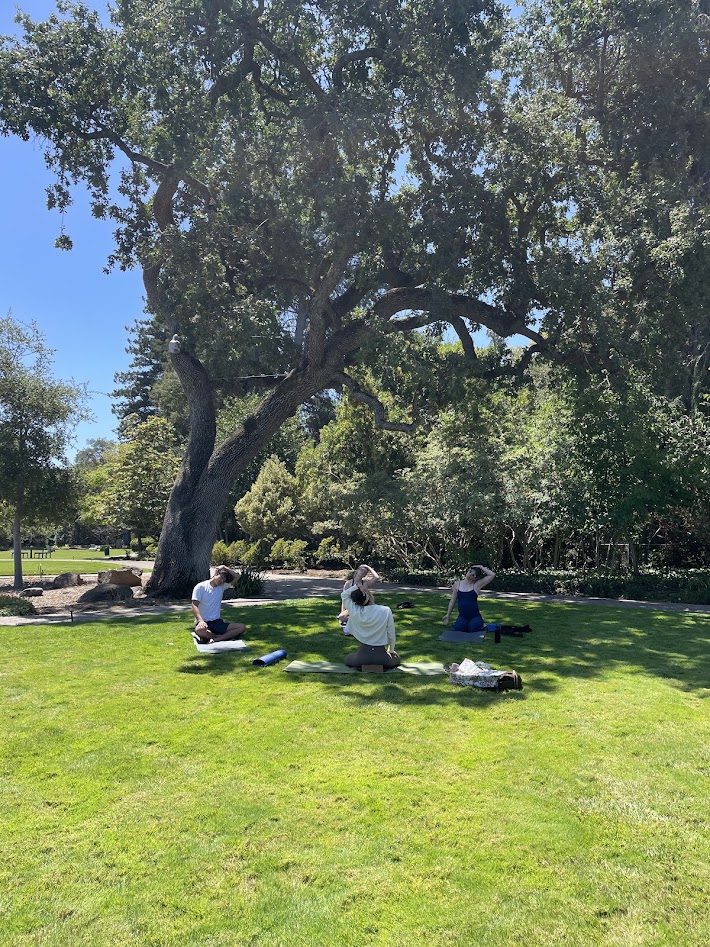 Willow Workplace — Amenities